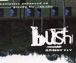 Bush : Greedy Fly (Single 1)